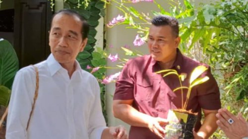 Ajudan Jokowi Windra Sanur Naik Pangkat Jadi Mayor: Dua Kali Pakai Pangkat Mayor