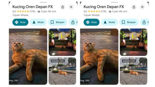 Viral Kucing Oren Depan FX Sudirman Jadi Ikon Wisata Baru, sampai Muncul di Google Maps