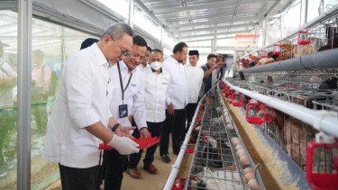 Zulhas Puji Program Ayam Petelur PNM: Bisa Jadi Pemasok Telur untuk Program MBG!
