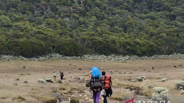 Jalur Pendakian Gunung Gede Pangrango Ditutup Sementara Mulai 13 Oktober