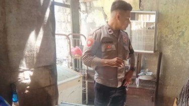 Terlilit Utang, Nenek di Ambon Akhiri Hidupnya secara Tragis, Warga: Kirain Patung?