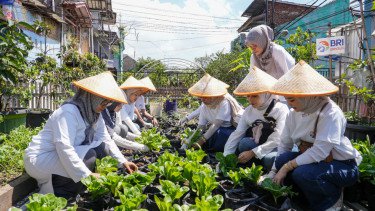 Panen Raya BRInita, BRI Tegaskan Komitmen Dukung Ketahanan Nasional di Momen Hari Pangan Sedunia