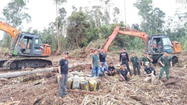 Polda Riau Tangkap Gordon, Pemilik Lahan Ilegal di Kawasan Hutan Konservasi Bengkalis