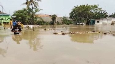 Banjir Meluas di Kabupaten Bekasi: 49 Desa Lumpuh, Sirine Dibunyikan, Puluhan Ribu KK Terdampak