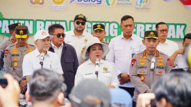 Sektor Pangan Melonjak Naik, Titiek: Bukti Keseriusan Swasembada Pangan Prabowo