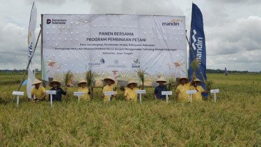Dorong Ketahanan Pangan Nasional, Bank Mandiri Bantu Petani Kebumen Hindari Gagal Panen