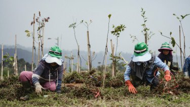 Lahan Konflik di Megamendung Berubah Jadi Kawasan Ekowisata Berkelanjutan