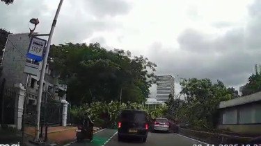 Pramono Ungkap Biang Kerok Pohon Tumbang di Senayan, Gara-gara Ini