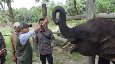 Kementerian Kehutanan Tegaskan Komitmen Restorasi Taman Nasional Tesso Nilo
