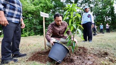 Ini Cara Ibas Yudhoyono Peringati Hari Menanam Pohon Nasional 2025