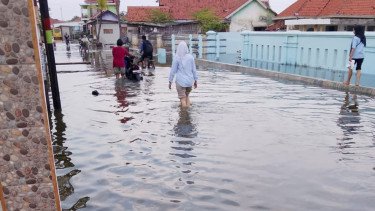 Banjir Rob Rendam Ribuan Rumah di Tiga Desa di Losari Brebes Jateng