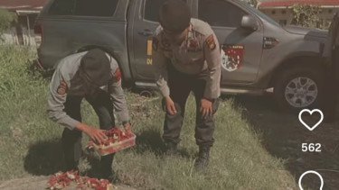 Detik-detik Anjing K9 Reno Dimakamkan Secara Kedinasan, Ternyata Gugur saat  Tugas di Bencana Sumbar