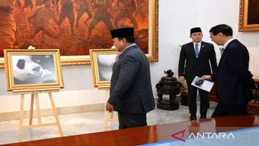 Mengungkap Makna Lahirnya Bayi Panda 'Satrio Wiratama' Bagi Diplomasi RI-China