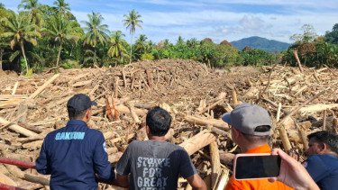 Menteri LH Sebut Kayu Gelondongan di Banjir Sumut Tidak Alami, Janji Tindak Tegas Pembalakan Liar!