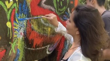 Viral Badan Gajah Sumatera di Tempat Wisata di Bali Dilukis Pakai Cat, Tuai Kecaman Publik