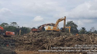 Kemenhut Kebut Pembersihan Limbah Kayu Bencana di Aceh dan Sumut