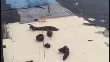 Horor! Nelayan Temukan Mayat Dalam Bangkai Kapal di Perairan Pulau Komodo
