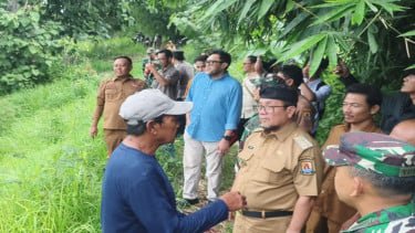 Geger Penanaman Sawit di Lahan 6,5 Hektare, Pemkab Cirebon Akan Ganti Jadi Pohon Mangga Gedong Gincu