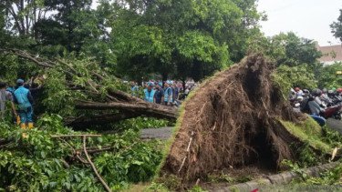 Puting Beliung di Bandara Juanda, Tiga Penerbangan Dialihkan dan Pohon Tumbang Timpa Motor