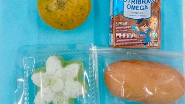Viral MBG Dikemas Kantong Plastik, SPPG di Banten Beri Klarifikasi