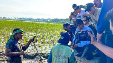 Pulihkan Sawah Terdampak Bencana di Aceh, Mentan Amran Salurkan Benih dan Pupuk