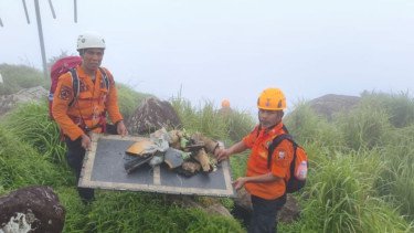 Pencarian Dipersempit, Tim SAR Fokus Cari Korban Pesawat ATR di Bulusaraung