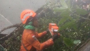 Black Box Ditemukan, Penyebab Kecelakaan Pesawat ATR 42-500 Bakal Terungkap dalam 6 Hari