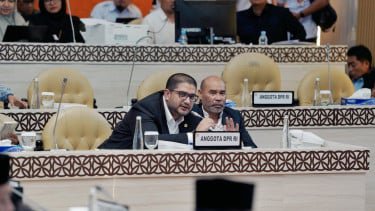 Stok Beras Tembus 5 Juta Ton, Legislator Apresiasi Kinerja Mentan Amran