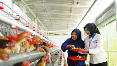 Ketahanan Pangan Berbasis Komunitas, Intip Strategi PNM Perkuat Gizi Masyarakat