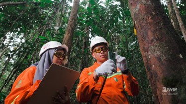 PT Weda Bay Nickel rehabilitasi DAS di Maluku Utara