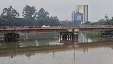 Dinkes Tangerang Larang Warga Konsumsi Ikan Mati Tercemar Kimia di Sungai Cisadane