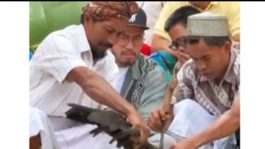 Momen Pandji Pragiwaksono Minta Maaf di Depan 32 Perwakilan Adat Toraja, Didenda 1 Ekor Babi dan 5 Ayam