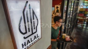 Soal Produk AS Masuk RI Tanpa Sertifikasi Halal, MUI Minta Pemerintah Terapkan Perlakuan Setara