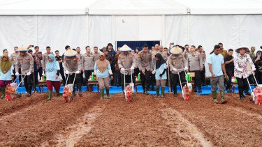 Penanaman jagung serentak kuartal I tahun 2026 di Kabupaten Bekasi