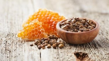 Studi Ungkap Potensi Propolis bagi Pasien dengan Gangguan Metabolik