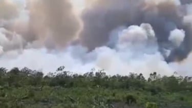 Kabut Asap Karhutla Ganggu Arus Mudik di Jalur Lintas Riau-Sumut