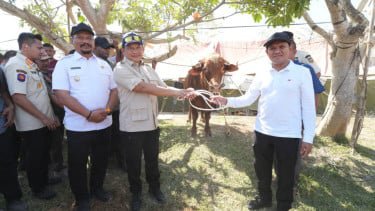 Mendagri Tito Salurkan Bantuan Daging Meugang untuk Sambut Idul Fitri, Presiden Prabowo Penuhi Permintaan Warga Aceh