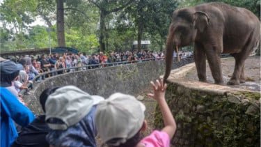 Pengunjung Ragunan