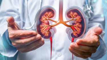 Gaya Hidup Modern Picu Risiko Penyakit Ginjal, Bisakah Dicegah dengan Obat Herbal?