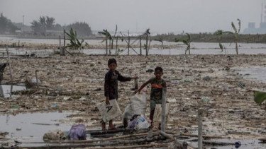Satgas PRR Segera Rehabilitasi Tambak dan Keramba Terdampak Bencana Sumatera Dorong Pemulihan Ekonomi