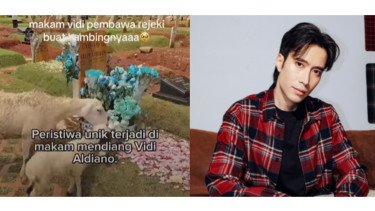 Makam Vidi Aldiano didatangi kambing