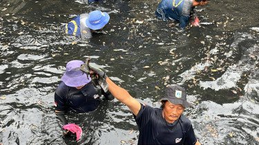 6,98 Ton Ikan Sapu-sapu Ditangkap dari Lima Wilayah, Terbanyak di Jaksel