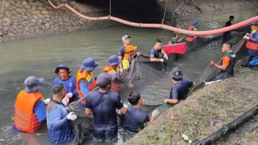 Top 5+ Orang Penjual Daging Ikan Sapu-sapu Ditangkap Satpol PP