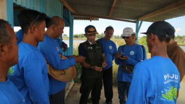 Optimalisasi Budidaya Anggur Laut, Pelayaran Bahtera Adhiguna Gandeng BRIN