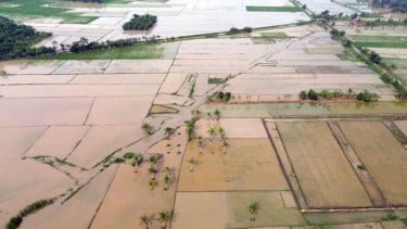 Lahan Sawah Rusak Akibat Bencana Hidrometeorologi