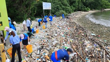 Riset Ungkap Sampah Plastik Jadi Ancaman Terbesar di Pesisir Jakarta dan Tangerang