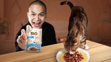Bio Cat, Pet Food Premium dengan Nutrisi Lengkap untuk Kucing Picky Eater