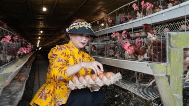 Prihatin Harga Telur Anjlok, Anggota DPR Dorong Kemendag Gandeng BGN