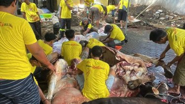 Golkar DKI Salurkan 117 Ekor Hewan Kurban, Ahmed Zaki: Momentum Pererat Kepedulian Sosial
