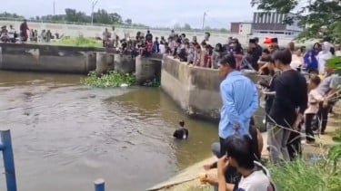 Panitia Kurban Tewas Tenggelam saat Membersihkan Jeroan Sapi di Sungai